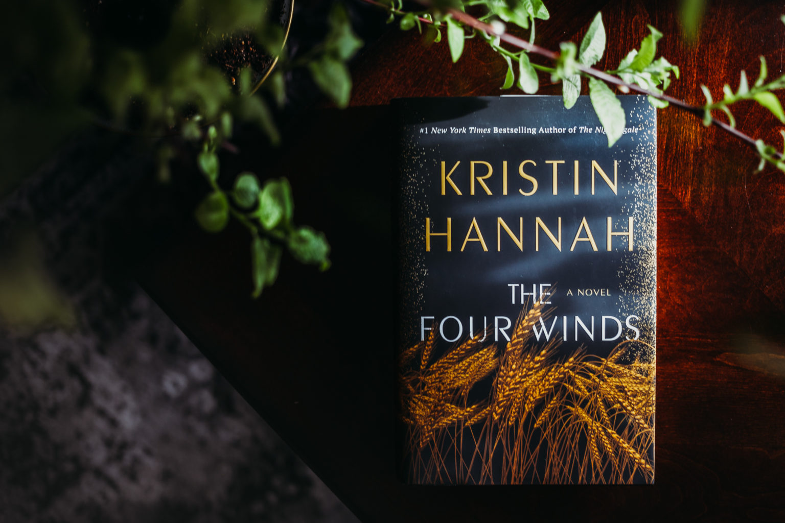 book review for the four winds by kristin hannah